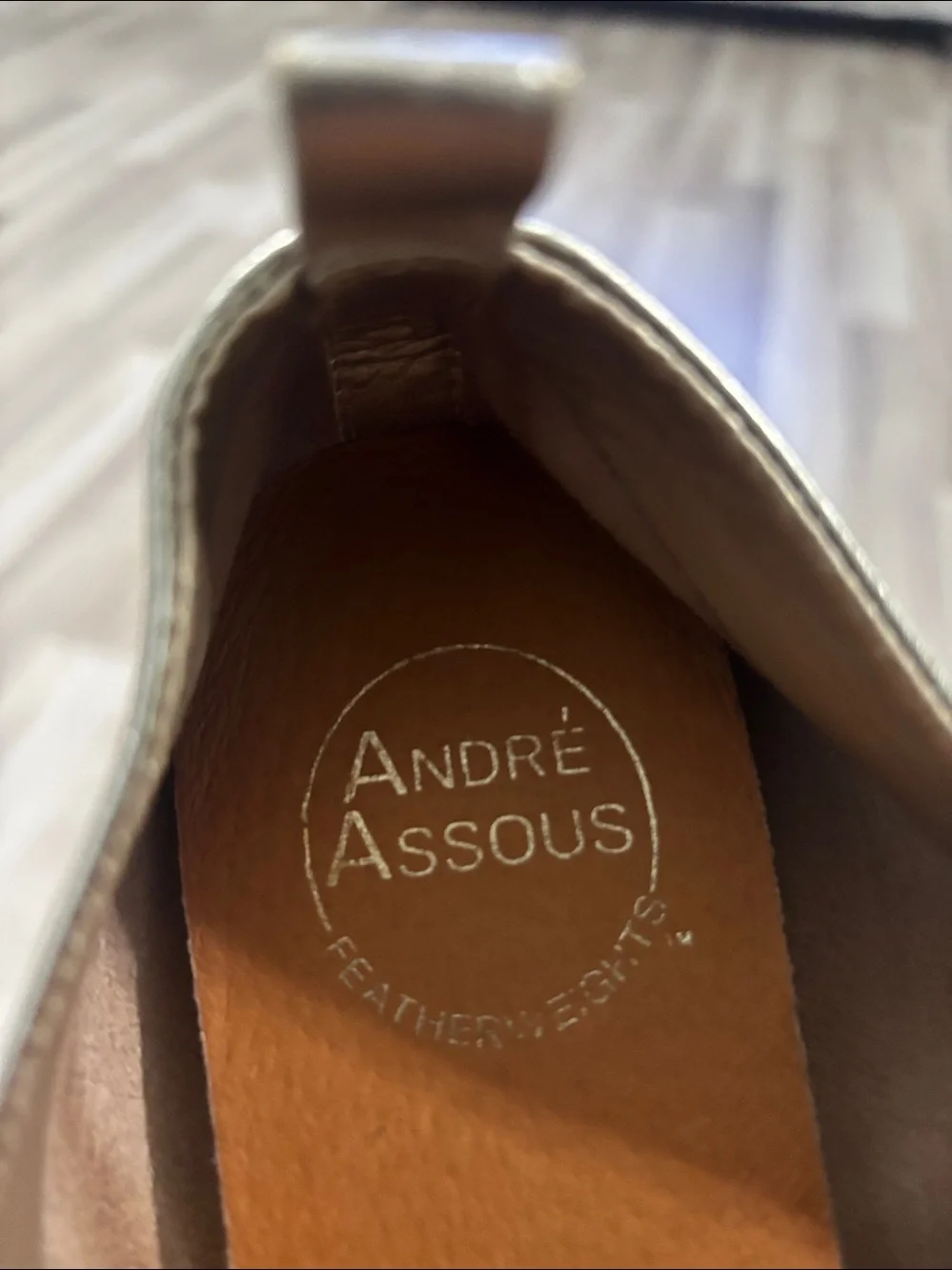 Andre Assous andre assous